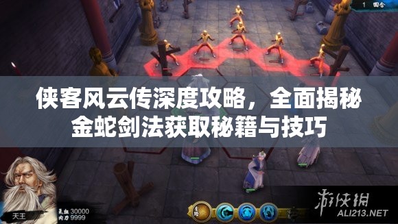 俠客風(fēng)云傳深度攻略，全面揭秘金蛇劍法獲取秘籍與技巧