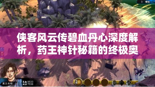 俠客風(fēng)云傳碧血丹心深度解析，藥王神針秘籍的終極奧秘與技巧大公開