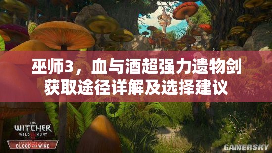 巫師3，血與酒超強力遺物劍獲取途徑詳解及選擇建議