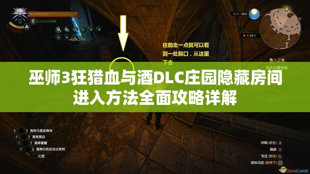 巫師3狂獵血與酒DLC莊園隱藏房間進入方法全面攻略詳解