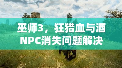 巫師3，狂獵血與酒NPC消失問題解決方案，快速找回消失角色的妙招！