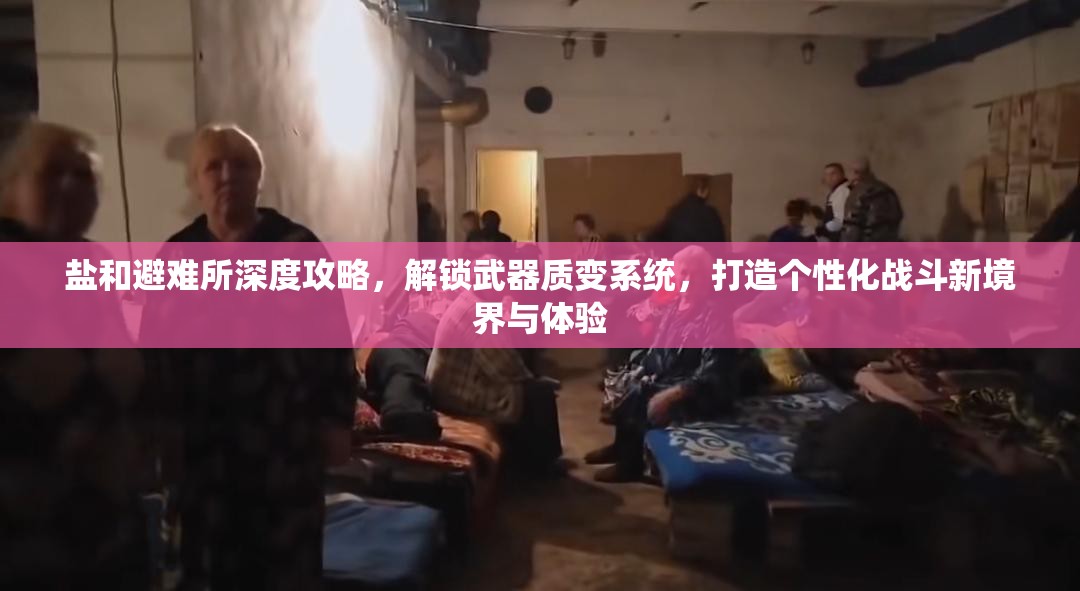 鹽和避難所深度攻略，解鎖武器質(zhì)變系統(tǒng)，打造個性化戰(zhàn)斗新境界與體驗