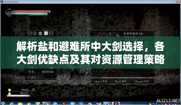 解析鹽和避難所中大劍選擇，各大劍優(yōu)缺點(diǎn)及其對(duì)資源管理策略的重要性
