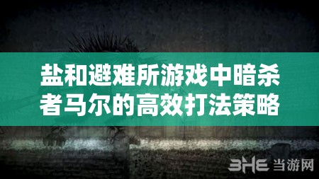 鹽和避難所游戲中暗殺者馬爾的高效打法策略與詳細(xì)攻略解析