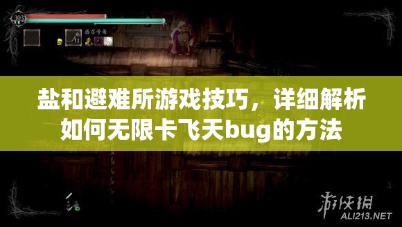 鹽和避難所游戲技巧，詳細解析如何無限卡飛天bug的方法