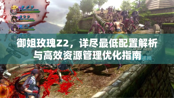 御姐玫瑰Z2，詳盡最低配置解析與高效資源管理優(yōu)化指南