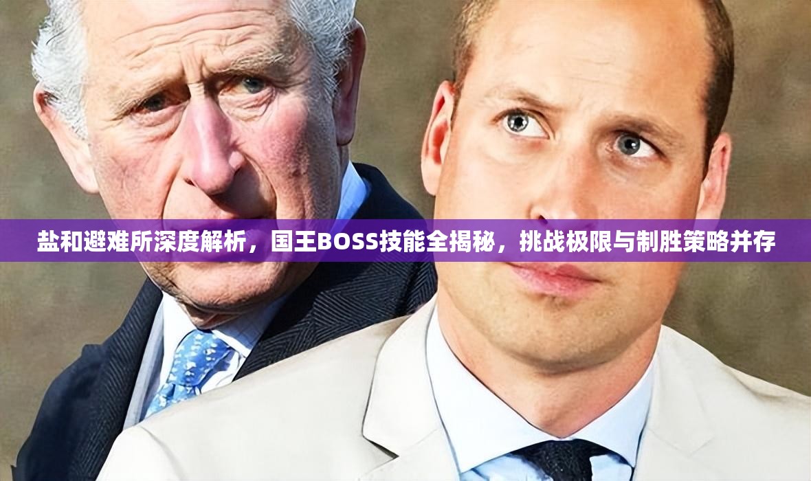鹽和避難所深度解析，國王BOSS技能全揭秘，挑戰(zhàn)極限與制勝策略并存