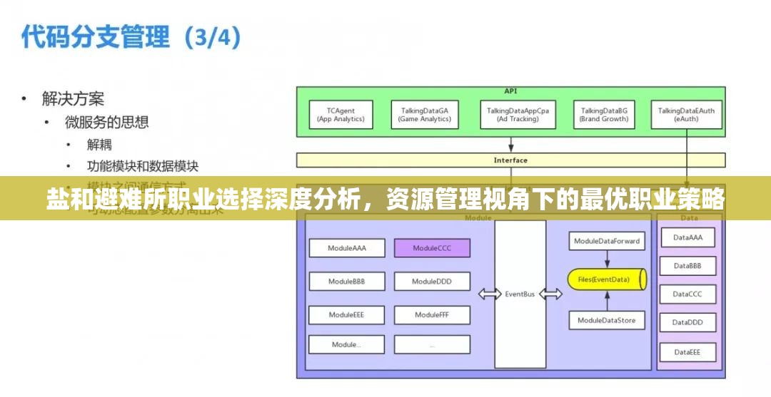 鹽和避難所職業(yè)選擇深度分析，資源管理視角下的最優(yōu)職業(yè)策略