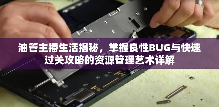 油管主播生活揭秘，掌握良性BUG與快速過關(guān)攻略的資源管理藝術(shù)詳解