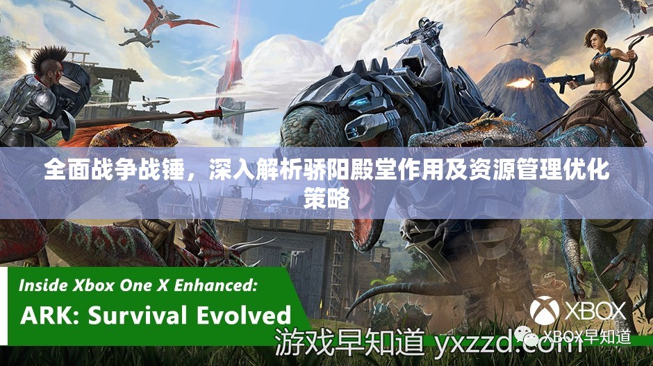 全面戰(zhàn)爭(zhēng)戰(zhàn)錘，深入解析驕陽殿堂作用及資源管理優(yōu)化策略
