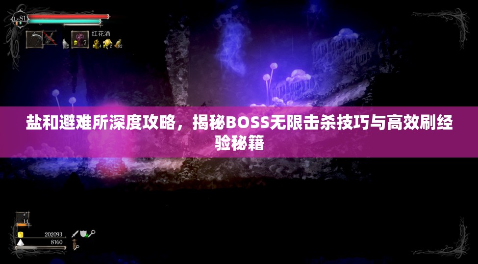 鹽和避難所深度攻略，揭秘BOSS無限擊殺技巧與高效刷經(jīng)驗秘籍