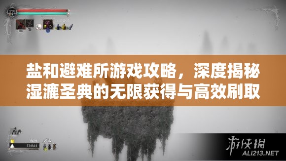 鹽和避難所游戲攻略，深度揭秘濕漉圣典的無(wú)限獲得與高效刷取技巧