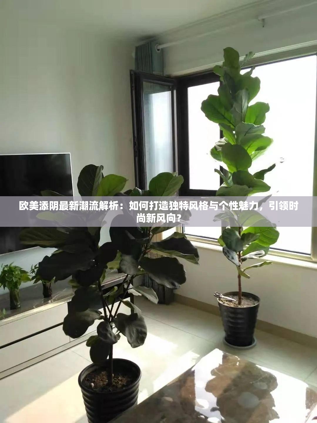 歐美添陰最新潮流解析：如何打造獨特風格與個性魅力，引領(lǐng)時尚新風向？