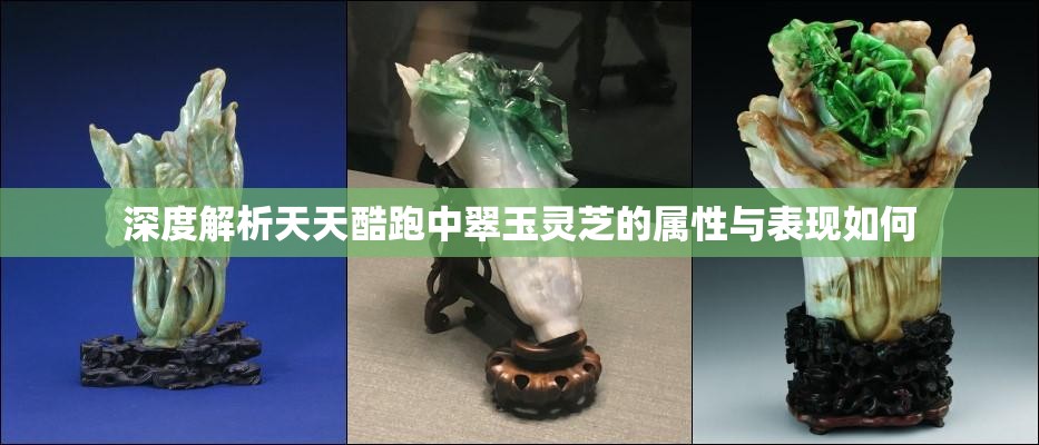 深度解析天天酷跑中翠玉靈芝的屬性與表現(xiàn)如何