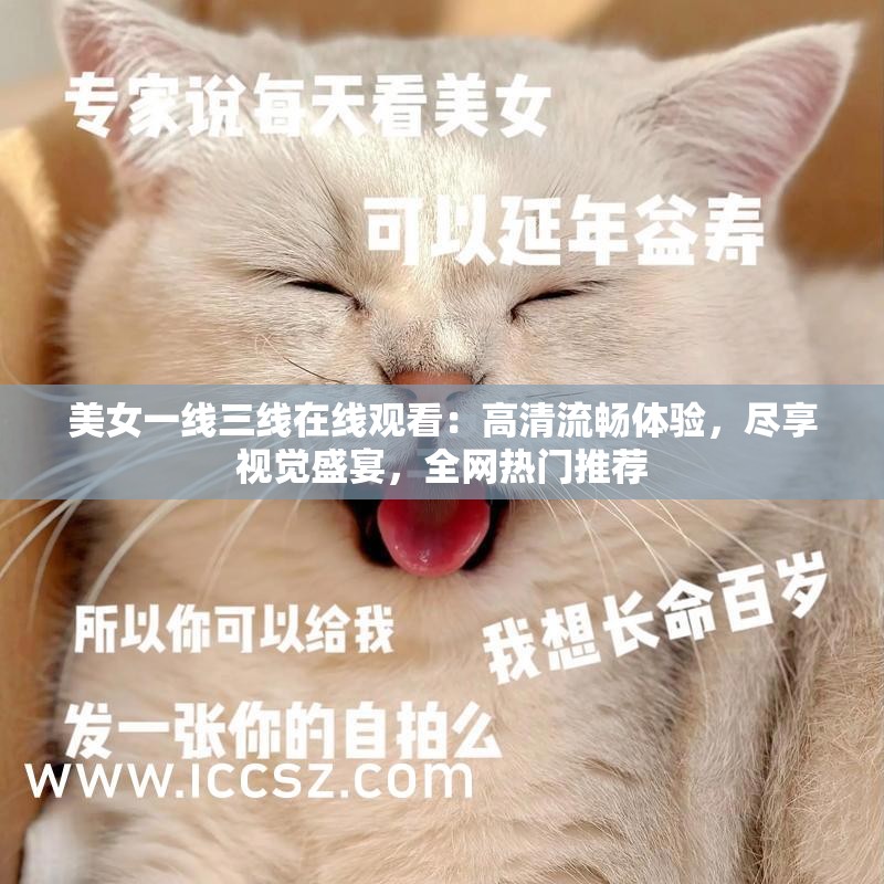 美女一線三線在線觀看：高清流暢體驗，盡享視覺盛宴，全網熱門推薦