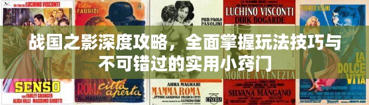 戰(zhàn)國之影深度攻略，全面掌握玩法技巧與不可錯過的實用小竅門