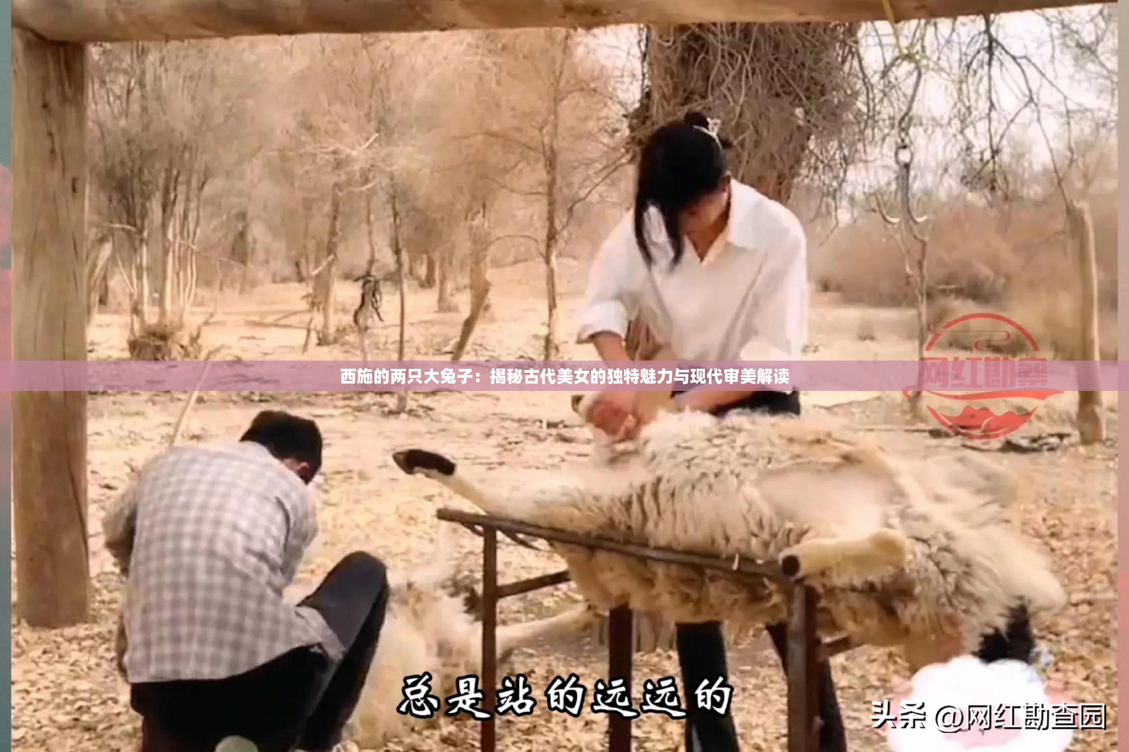 西施的兩只大兔子：揭秘古代美女的獨特魅力與現(xiàn)代審美解讀