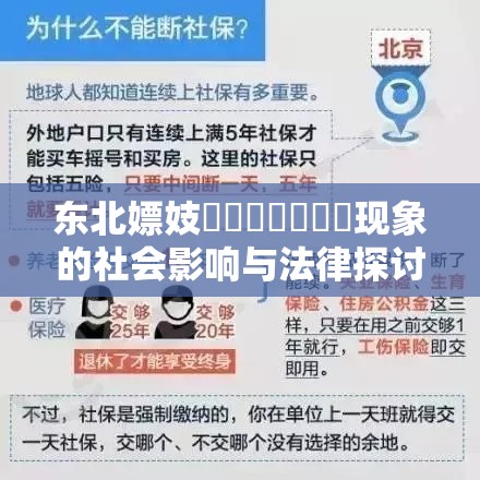 東北嫖妓乄乄乄乄乄乄乄現(xiàn)象的社會影響與法律探討：現(xiàn)狀分析與未來展望