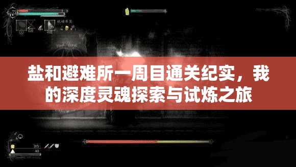 鹽和避難所一周目通關(guān)紀(jì)實(shí)，我的深度靈魂探索與試煉之旅