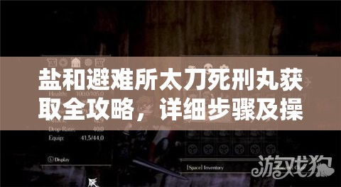 鹽和避難所太刀死刑丸獲取全攻略，詳細(xì)步驟及操作技巧解析