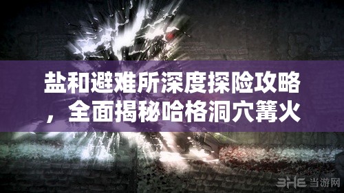 鹽和避難所深度探險攻略，全面揭秘哈格洞穴篝火精確位置