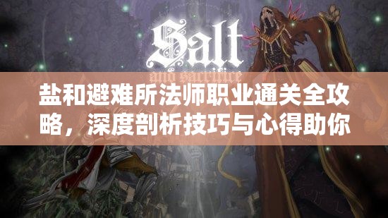 鹽和避難所法師職業(yè)通關(guān)全攻略，深度剖析技巧與心得助你征服難關(guān)