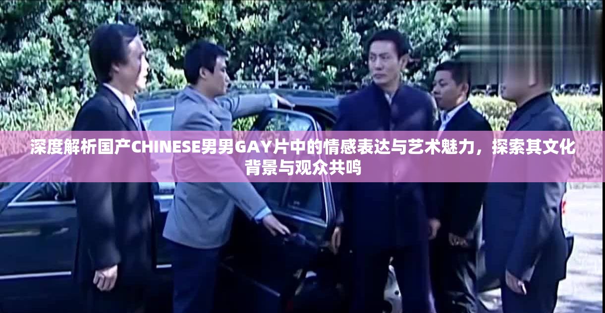 深度解析國(guó)產(chǎn)CHINESE男男GAY片中的情感表達(dá)與藝術(shù)魅力，探索其文化背景與觀眾共鳴