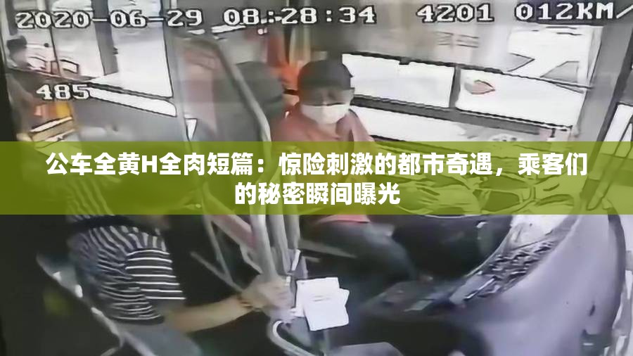 公車全黃H全肉短篇：驚險(xiǎn)刺激的都市奇遇，乘客們的秘密瞬間曝光