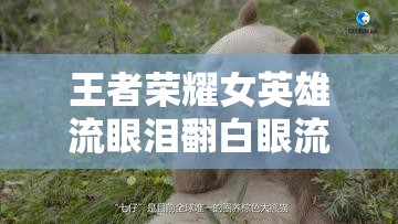 王者榮耀女英雄流眼淚翻白眼流口水瞬間引發(fā)熱議，玩家熱議角色表情背后的故事