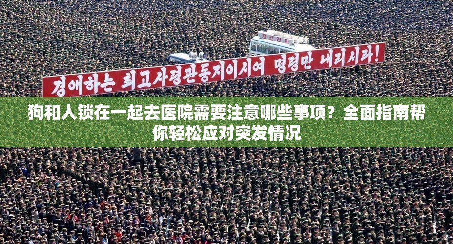 狗和人鎖在一起去醫(yī)院需要注意哪些事項(xiàng)？全面指南幫你輕松應(yīng)對突發(fā)情況