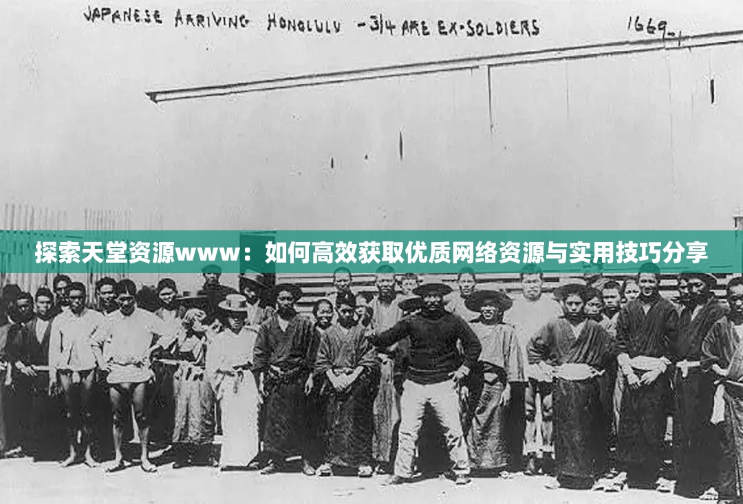 探索天堂資源www：如何高效獲取優(yōu)質(zhì)網(wǎng)絡(luò)資源與實(shí)用技巧分享