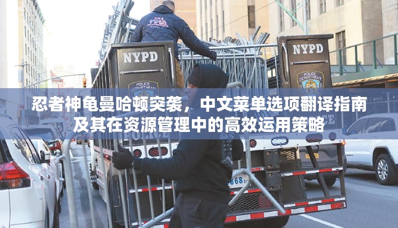忍者神龜曼哈頓突襲，中文菜單選項(xiàng)翻譯指南及其在資源管理中的高效運(yùn)用策略