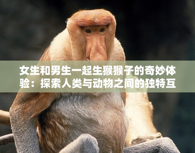 女生和男生一起生猴猴子的奇妙體驗(yàn)：探索人類與動物之間的獨(dú)特互動故事