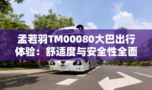 孟若羽TM00080大巴出行體驗：舒適度與安全性全面解析，乘客真實反饋大公開
