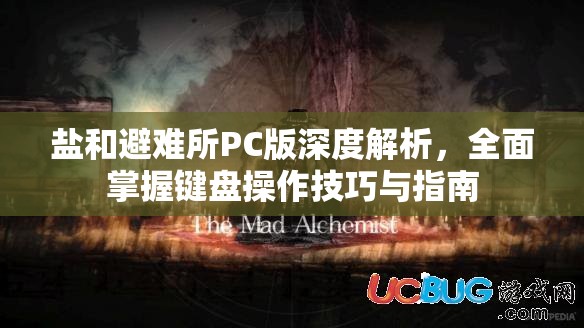 鹽和避難所PC版深度解析，全面掌握鍵盤操作技巧與指南