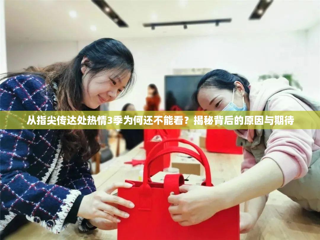 從指尖傳達處熱情3季為何還不能看？揭秘背后的原因與期待
