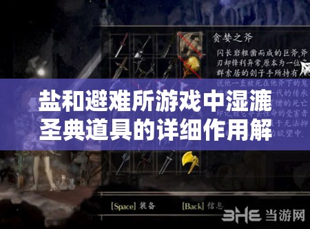 鹽和避難所游戲中濕漉圣典道具的詳細作用解析與實用攻略