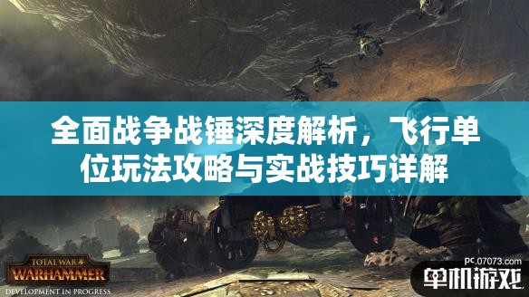 全面戰(zhàn)爭戰(zhàn)錘深度解析，飛行單位玩法攻略與實(shí)戰(zhàn)技巧詳解