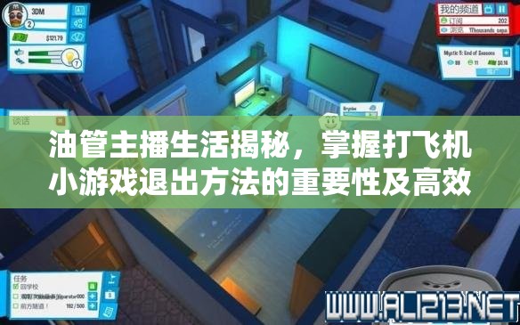 油管主播生活揭秘，掌握打飛機小游戲退出方法的重要性及高效資源管理策略
