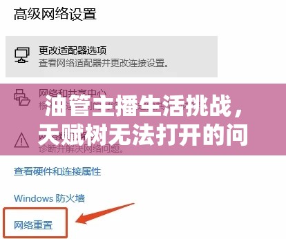 油管主播生活挑戰(zhàn)，天賦樹無法打開的問題解決策略及其在資源管理中的重要性