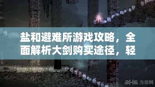鹽和避難所游戲攻略，全面解析大劍購(gòu)買途徑，輕松解鎖你的終極近戰(zhàn)利器