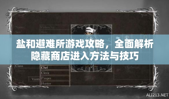 鹽和避難所游戲攻略，全面解析隱藏商店進(jìn)入方法與技巧