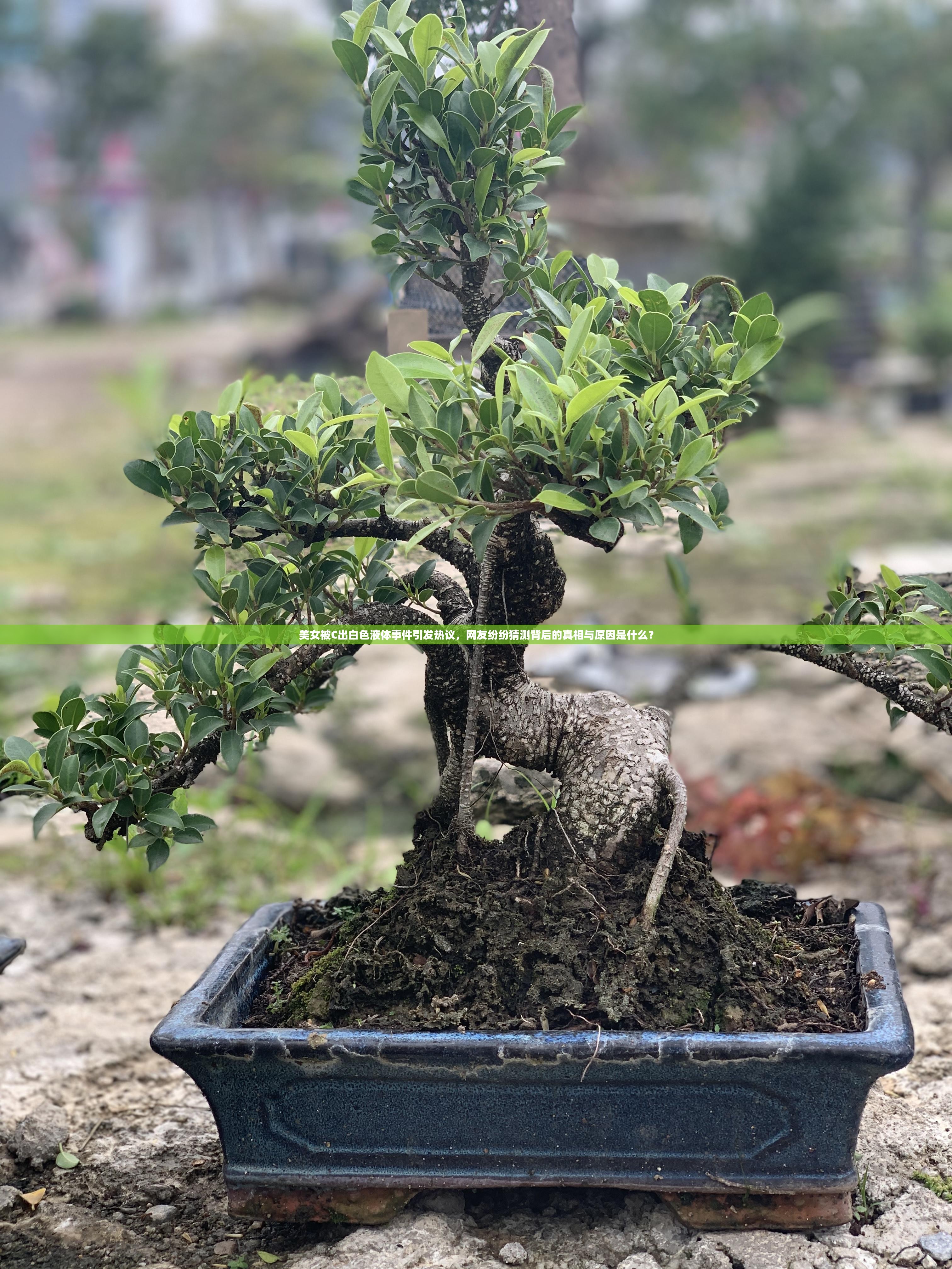 美女被C出白色液體事件引發(fā)熱議，網(wǎng)友紛紛猜測背后的真相與原因是什么？