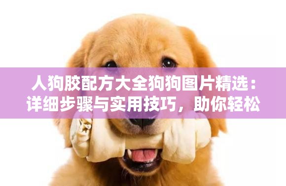 人狗膠配方大全狗狗圖片精選：詳細(xì)步驟與實(shí)用技巧，助你輕松制作安全健康的狗狗用品