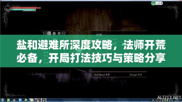 鹽和避難所深度攻略，法師開(kāi)荒必備，開(kāi)局打法技巧與策略分享