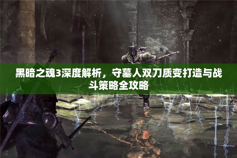 黑暗之魂3深度解析，守墓人雙刀質(zhì)變打造與戰(zhàn)斗策略全攻略