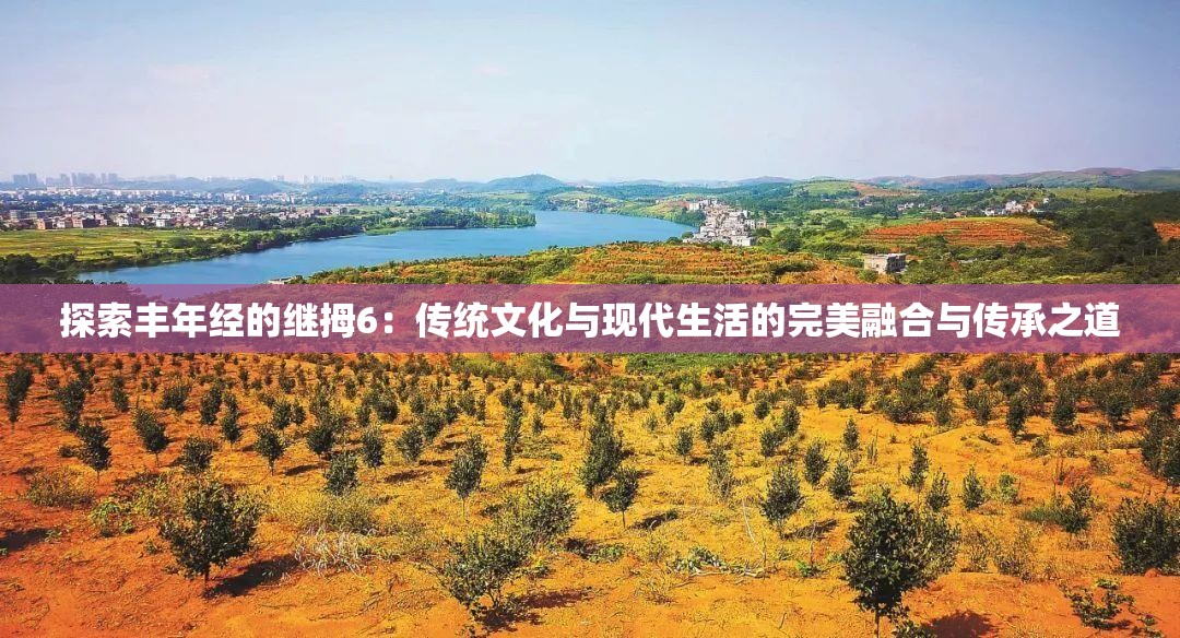 探索豐年經(jīng)的繼拇6：傳統(tǒng)文化與現(xiàn)代生活的完美融合與傳承之道