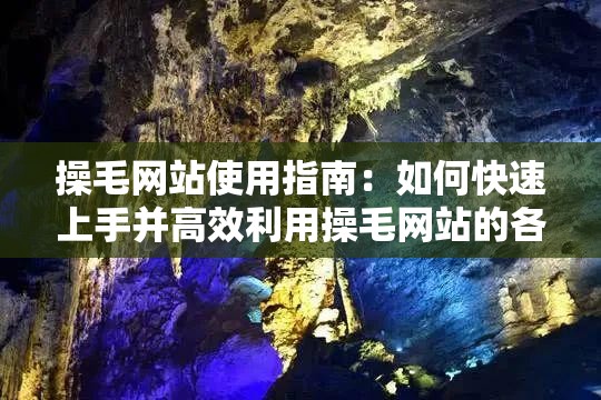 操毛網(wǎng)站使用指南：如何快速上手并高效利用操毛網(wǎng)站的各項功能與資源？