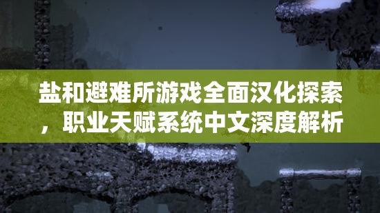 鹽和避難所游戲全面漢化探索，職業(yè)天賦系統(tǒng)中文深度解析與揭秘