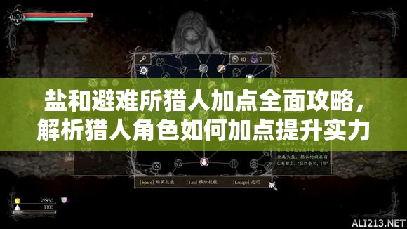鹽和避難所獵人加點(diǎn)全面攻略，解析獵人角色如何加點(diǎn)提升實(shí)力